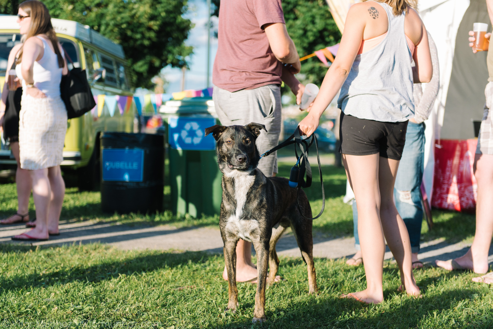 1-vitormunhoz-folkfest-13