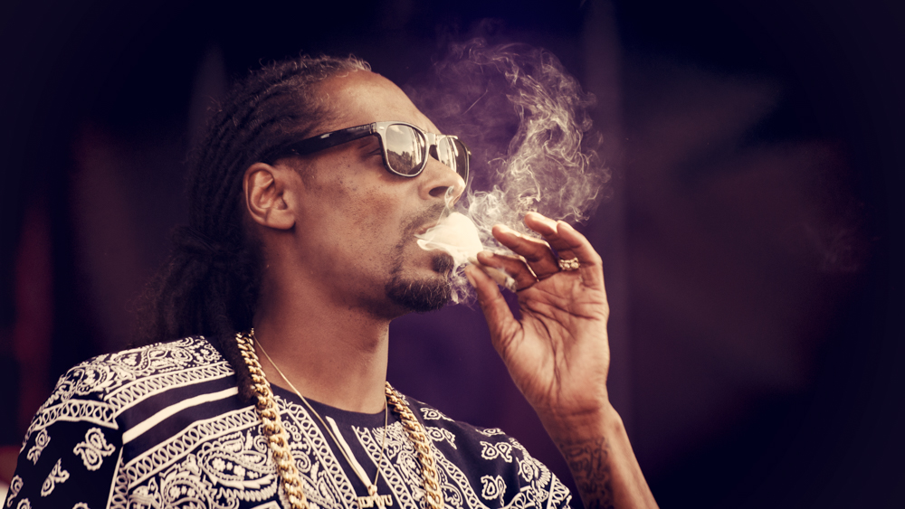 JB-Rockfest2015_Day_2_Snoop_Dogg_4