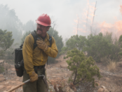 Review: Only the Brave