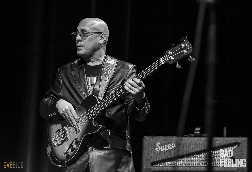 Bowie Celebration 22