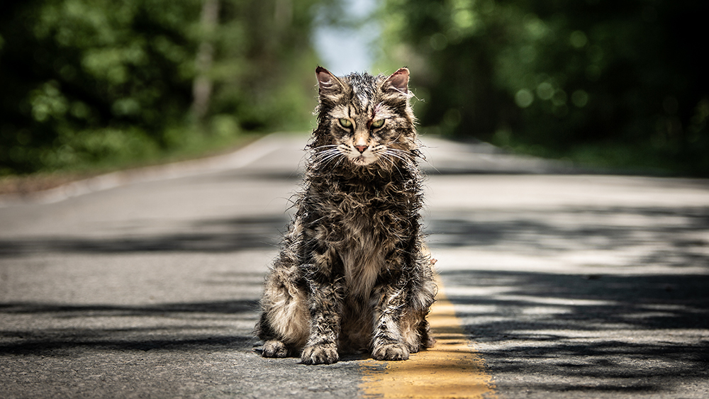 SXSW 2019 review: Pet Sematary is a terrifying new take on the Stephen King classic